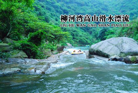 疯狂的小偷
